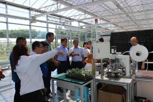 技術推廣助力曲堤黃瓜產(chǎn)業(yè)發(fā)展，農(nóng)民增收邁上新臺階